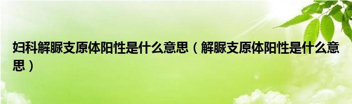 妇科解脲支原体阳性是什么意思（解脲支原体阳性是什么意思）