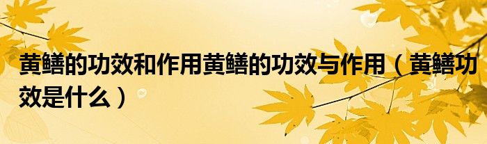 黄鳝的功效和作用黄鳝的功效与作用（黄鳝功效是什么）