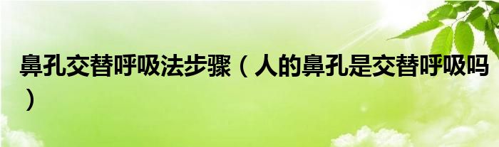 鼻孔交替呼吸法步骤（人的鼻孔是交替呼吸吗）