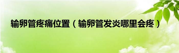 输卵管疼痛位置（输卵管发炎哪里会疼）