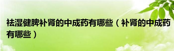 祛湿健脾补肾的中成药有哪些（补肾的中成药有哪些）