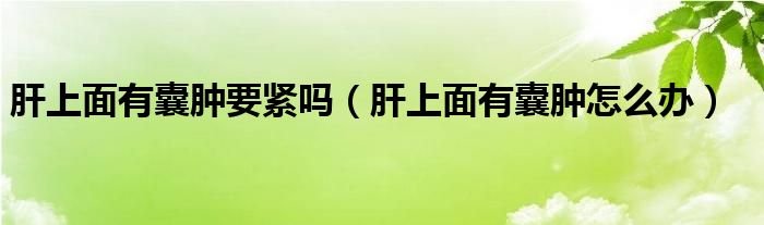 肝上面有囊肿要紧吗（肝上面有囊肿怎么办）