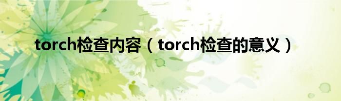 torch检查内容（torch检查的意义）