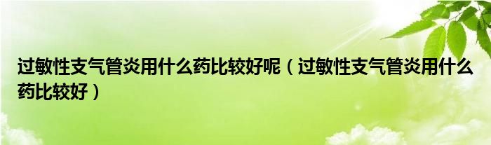 过敏性支气管炎用什么药比较好呢（过敏性支气管炎用什么药比较好）