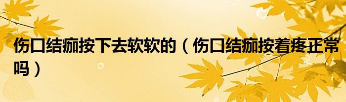 伤口结痂按下去软软的（伤口结痂按着疼正常吗）