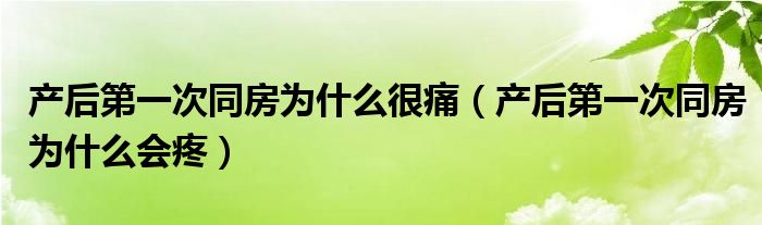 产后第一次同房为什么很痛（产后第一次同房为什么会疼）