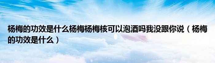 杨梅的功效是什么杨梅杨梅核可以泡酒吗我没跟你说（杨梅的功效是什么）