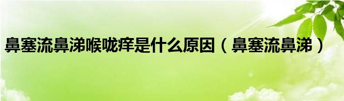 鼻塞流鼻涕喉咙痒是什么原因（鼻塞流鼻涕）