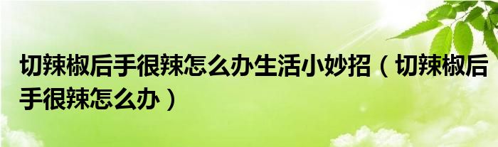 切辣椒后手很辣怎么办生活小妙招（切辣椒后手很辣怎么办）