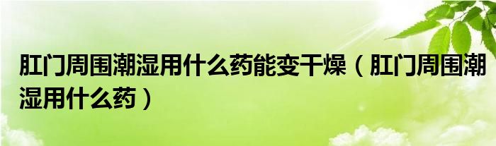 肛门周围潮湿用什么药能变干燥（肛门周围潮湿用什么药）