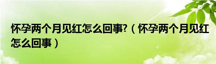 怀孕两个月见红怎么回事?（怀孕两个月见红怎么回事）