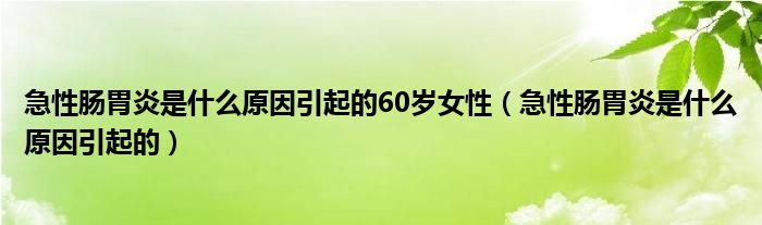 急性肠胃炎是什么原因引起的60岁女性（急性肠胃炎是什么原因引起的）