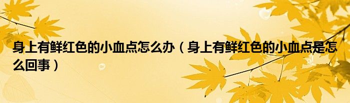 身上有鲜红色的小血点怎么办（身上有鲜红色的小血点是怎么回事）