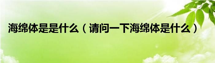 海绵体是是什么（请问一下海绵体是什么）