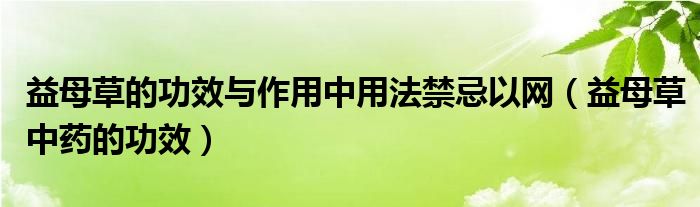 益母草的功效与作用中用法禁忌以网（益母草中药的功效）