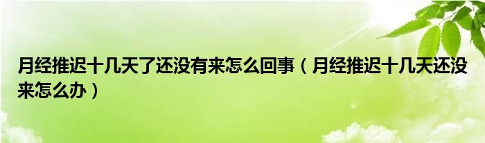 月经推迟十几天了还没有来怎么回事（月经推迟十几天还没来怎么办）