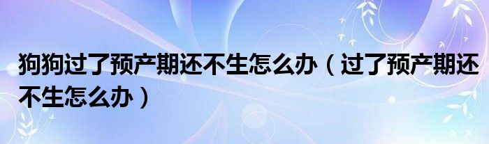 狗狗过了预产期还不生怎么办（过了预产期还不生怎么办）