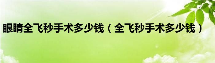 眼睛全飞秒手术多少钱（全飞秒手术多少钱）