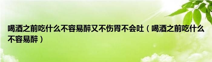 喝酒之前吃什么不容易醉又不伤胃不会吐（喝酒之前吃什么不容易醉）