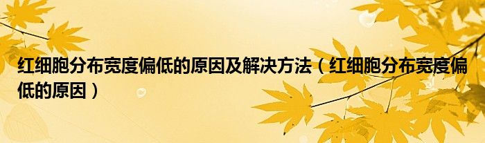 红细胞分布宽度偏低的原因及解决方法（红细胞分布宽度偏低的原因）