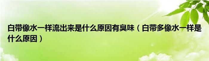 白带像水一样流出来是什么原因有臭味（白带多像水一样是什么原因）