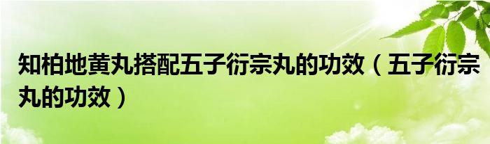 知柏地黄丸搭配五子衍宗丸的功效（五子衍宗丸的功效）