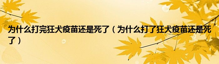 为什么打完狂犬疫苗还是死了（为什么打了狂犬疫苗还是死了）