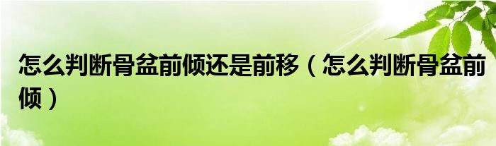 怎么判断骨盆前倾还是前移（怎么判断骨盆前倾）