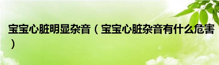 宝宝心脏明显杂音（宝宝心脏杂音有什么危害）