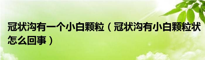 冠状沟有一个小白颗粒（冠状沟有小白颗粒状怎么回事）