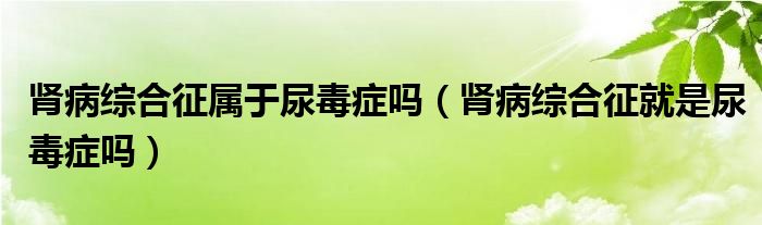 肾病综合征属于尿毒症吗（肾病综合征就是尿毒症吗）