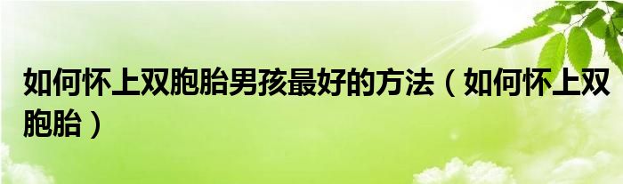 如何怀上双胞胎男孩最好的方法（如何怀上双胞胎）