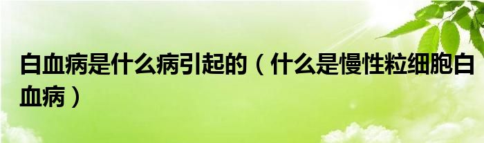 白血病是什么病引起的（什么是慢性粒细胞白血病）