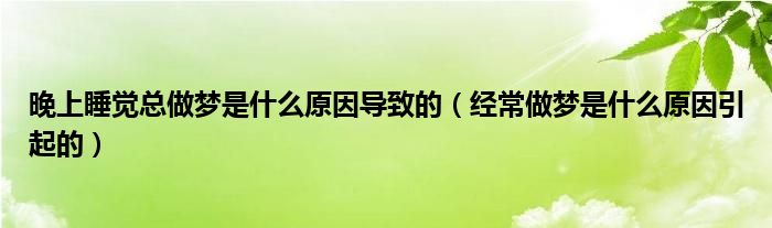 晚上睡觉总做梦是什么原因导致的（经常做梦是什么原因引起的）