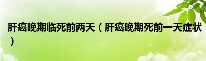 肝癌晚期临死前两天（肝癌晚期死前一天症状）