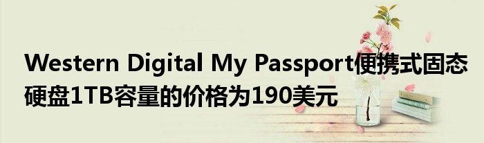 Western Digital My Passport便携式固态硬盘1TB容量的价格为190美元