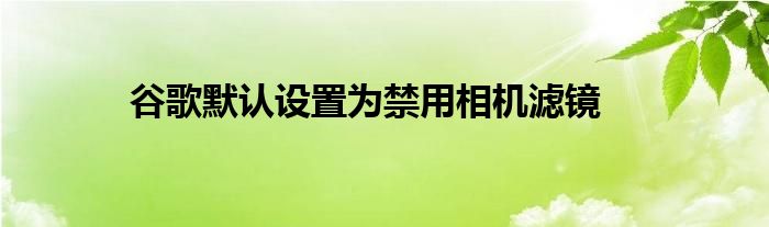 谷歌默认设置为禁用相机滤镜