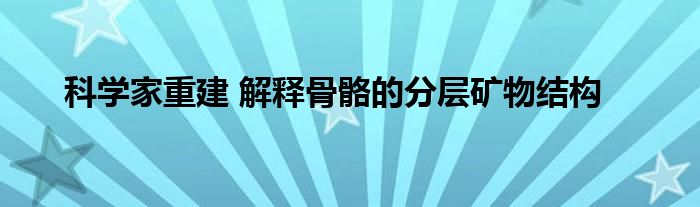 科学家重建 解释骨骼的分层矿物结构