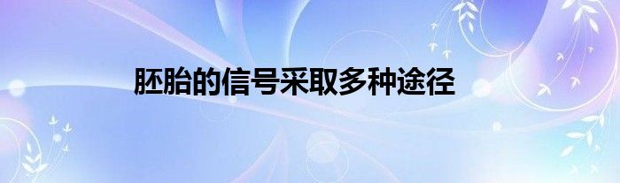 胚胎的信号采取多种途径