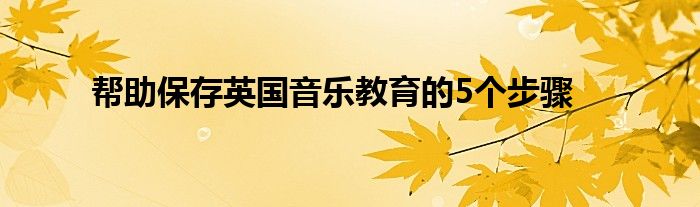 帮助保存英国音乐教育的5个步骤