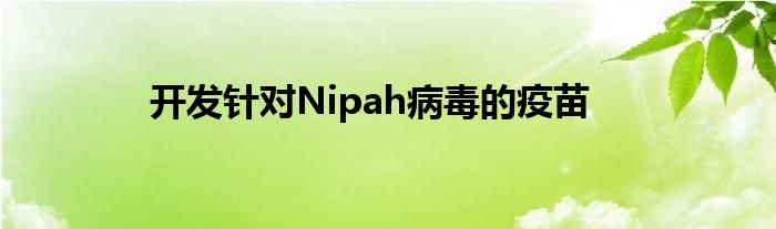 开发针对Nipah病毒的疫苗