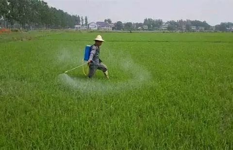 普通除草剂与某些癌症之间的联系