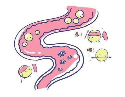 耶鲁大学的研究小组发现在抵抗肠道感染中神经系统是关键